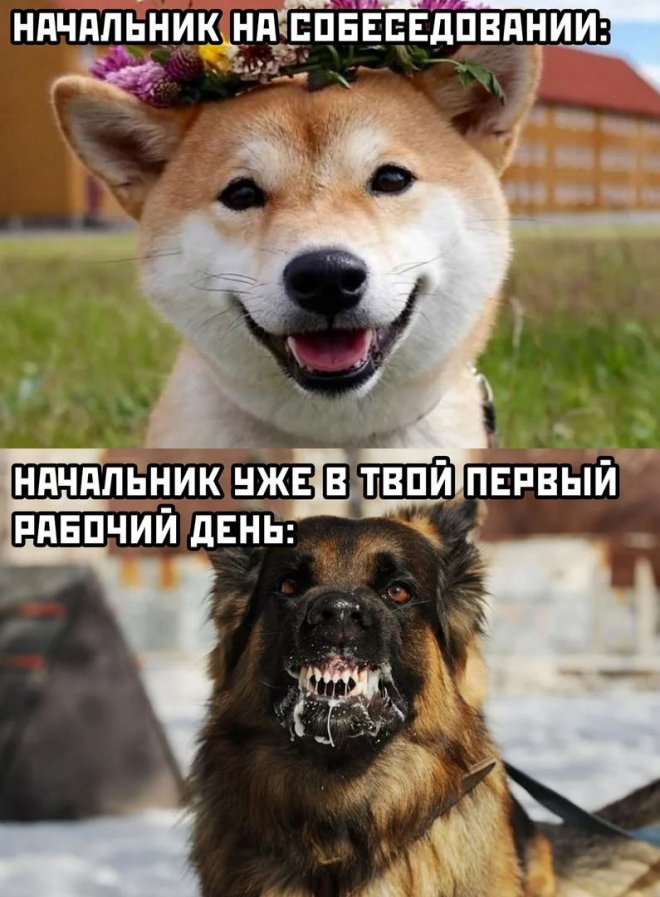 16727850.jpg