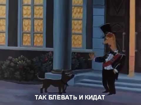 Скотсети и прочие интернеты 27.05.22