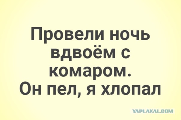 Приезжайте в Северобайкальск, здесь комаров нет