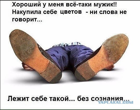 Картинки и мемы из Сети 24.07.22