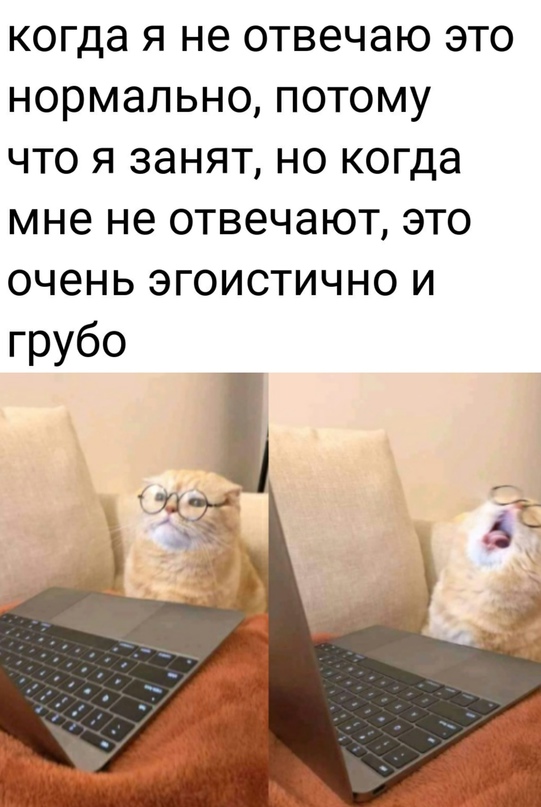 Картинки и мемы для настроения. Выходные рядышком...