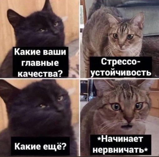 Немного картинок для настроения - 114