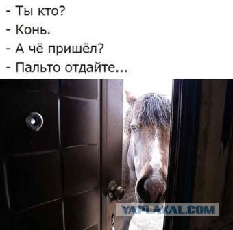 "Мне так стыдно за вас"