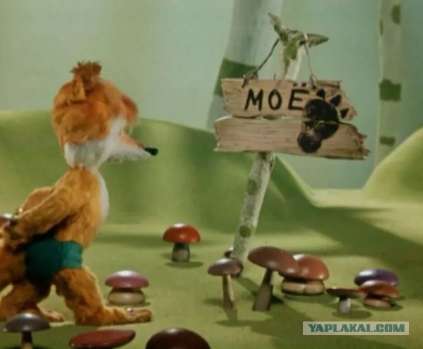 Путин приехал посмотреть, как обрабатывают шишки в Архангельской области