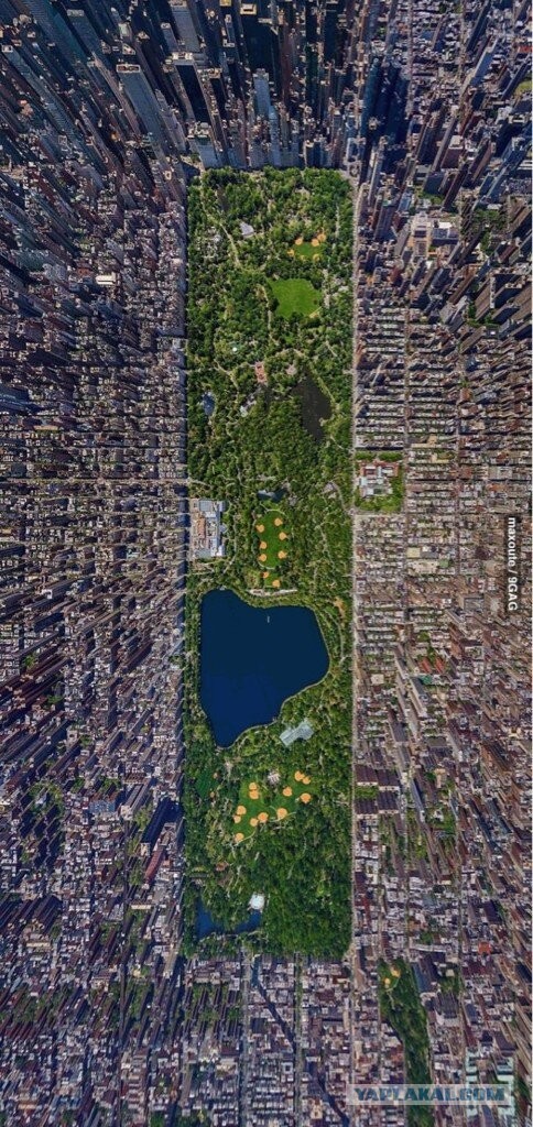 Как я в NYC ездил.
