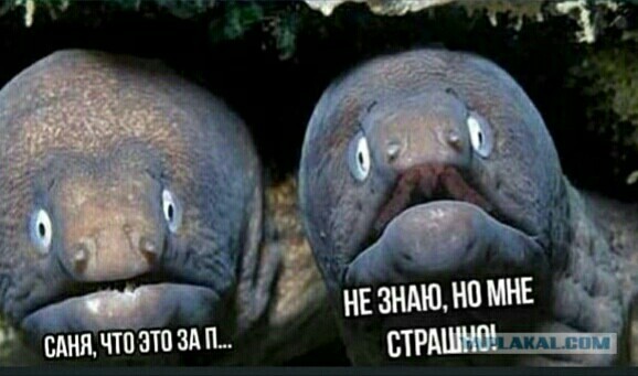 Ну, блин, начали за здравие, а кончили за упокой...