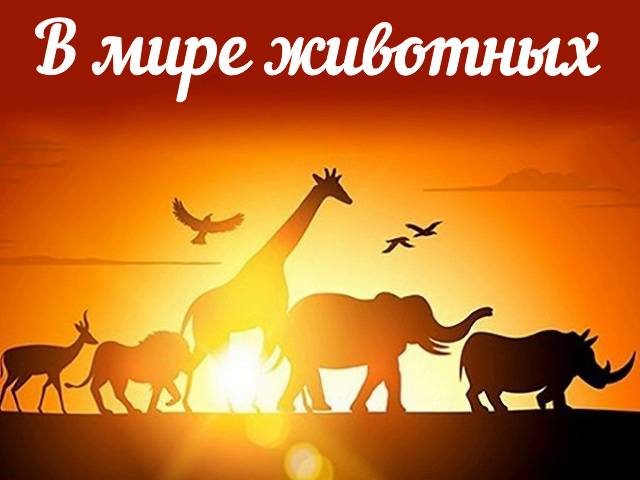 Америка сильно изменилась при Джо Байдене