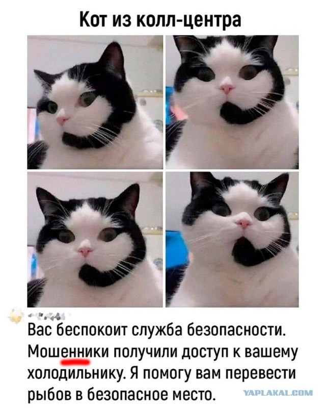 Отряд быстрого деградирования. Номер 20