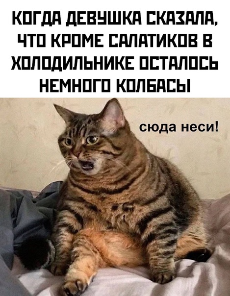 Весёлый полтишок 05.01.24