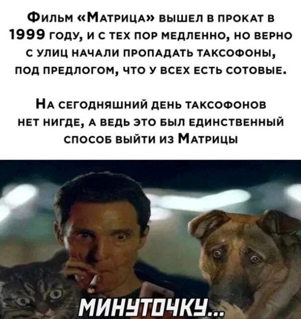 Так себе картинки 21.02.24