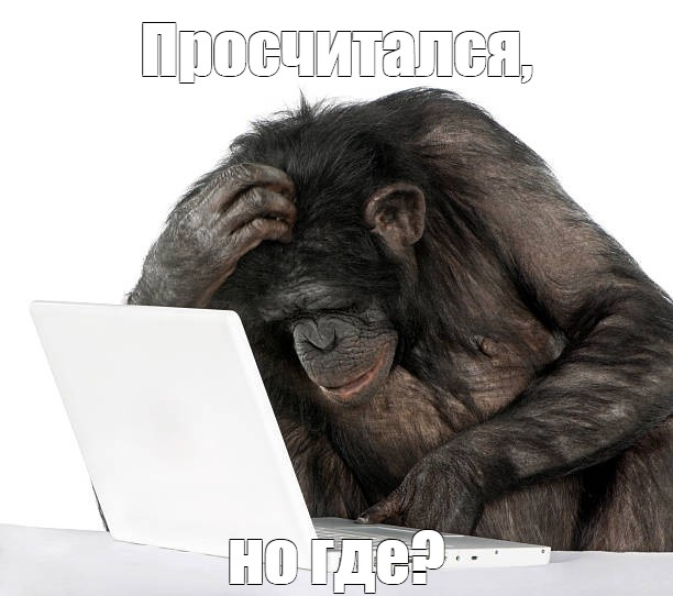Он всё точно рассчитал