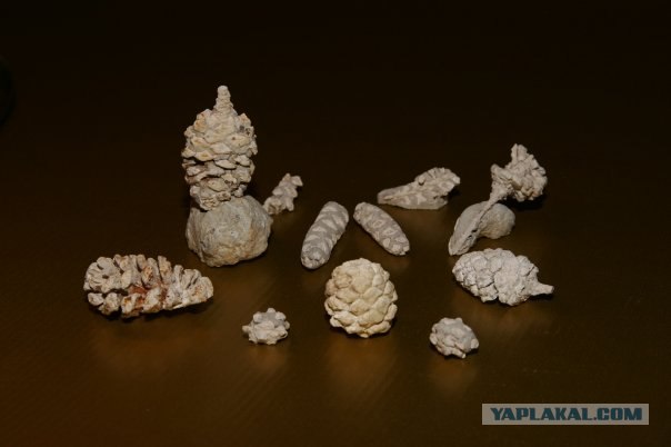 История мира у нас под ногами