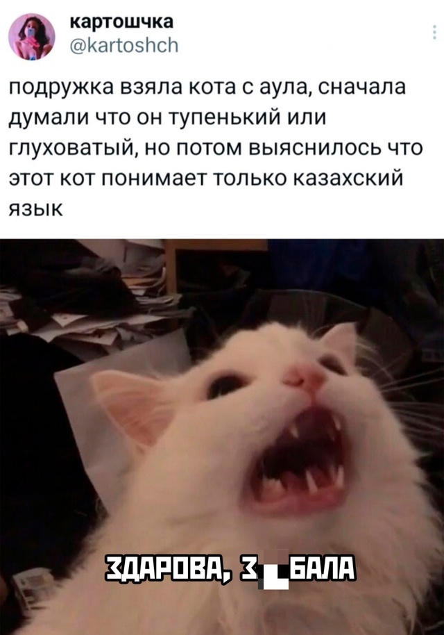 Так себе картинки 28.02.25