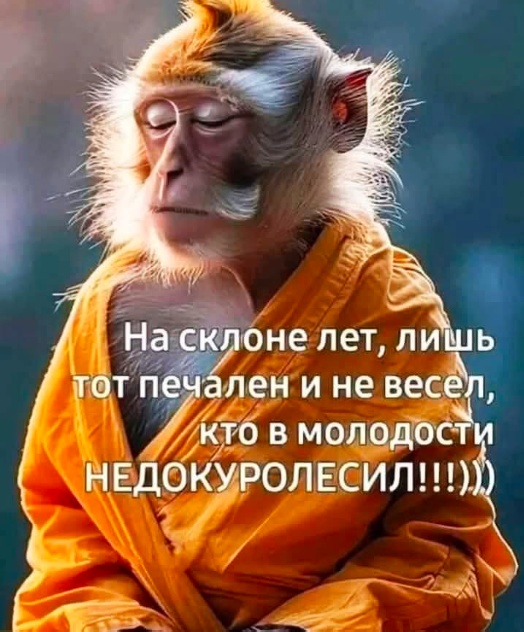 Так себе картинки 29.04.25