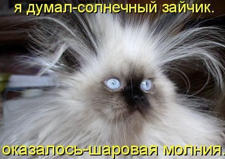 В Подмосковье очевидец запечатлел редчайшее природное явление. Там во время непогоды возникла шаровая молния.