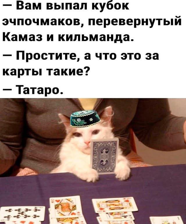 Так себе картинки 04.07.25