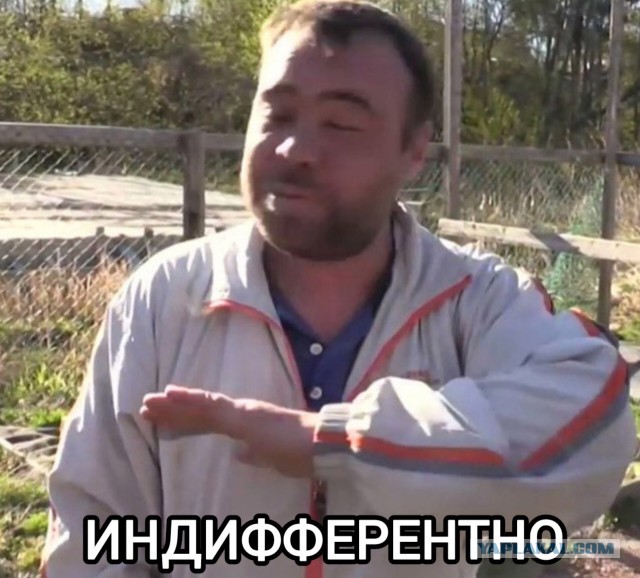 Иноагенту Zемфире - 49 лет.
