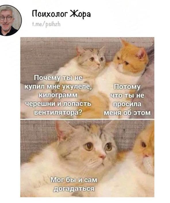 Так себе картинки 01.09.25