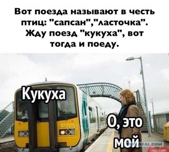 Картинки для деградации 52 (разной степени свежести)