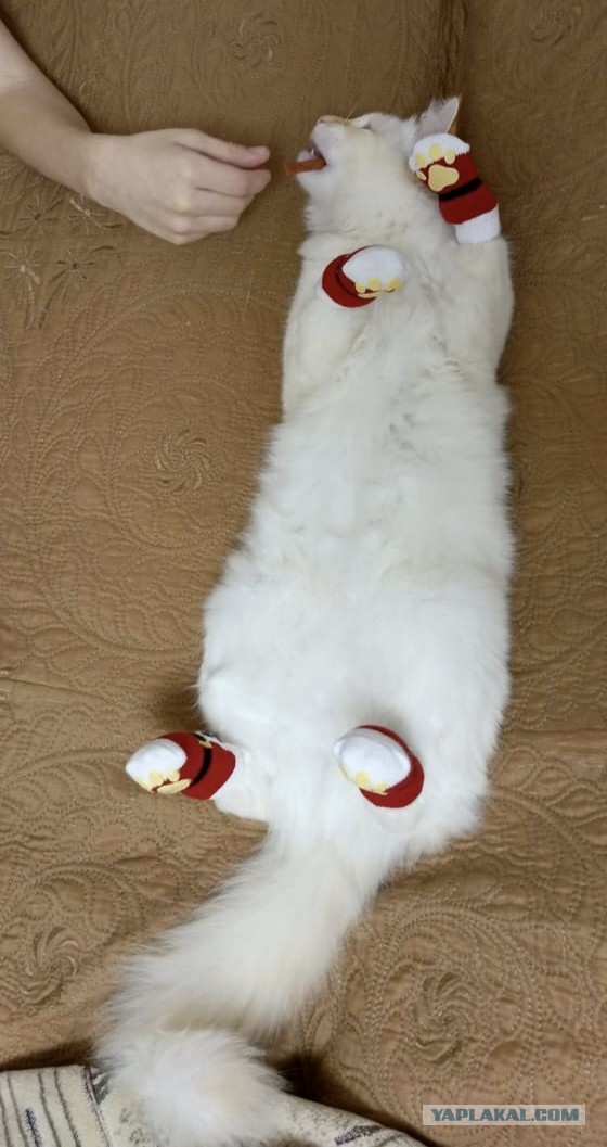 Ну начнемс ...!