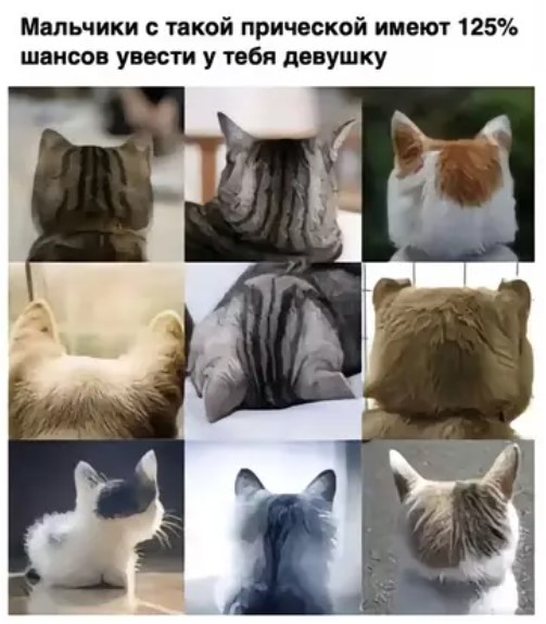 Пакет брать будете?