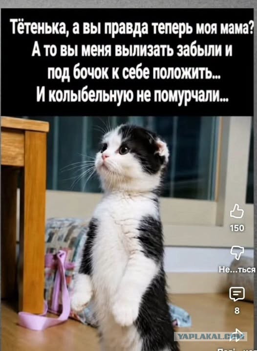 Немного картинок в четверг