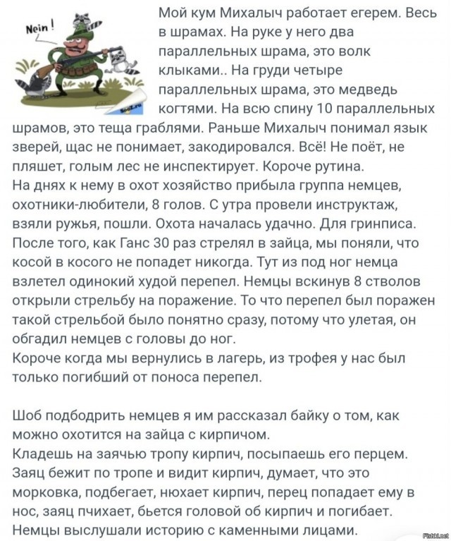 Медведь умный, опасный и всегда голодный.