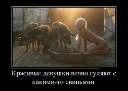 Офисные скромняги...