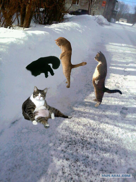 Март ты где ?