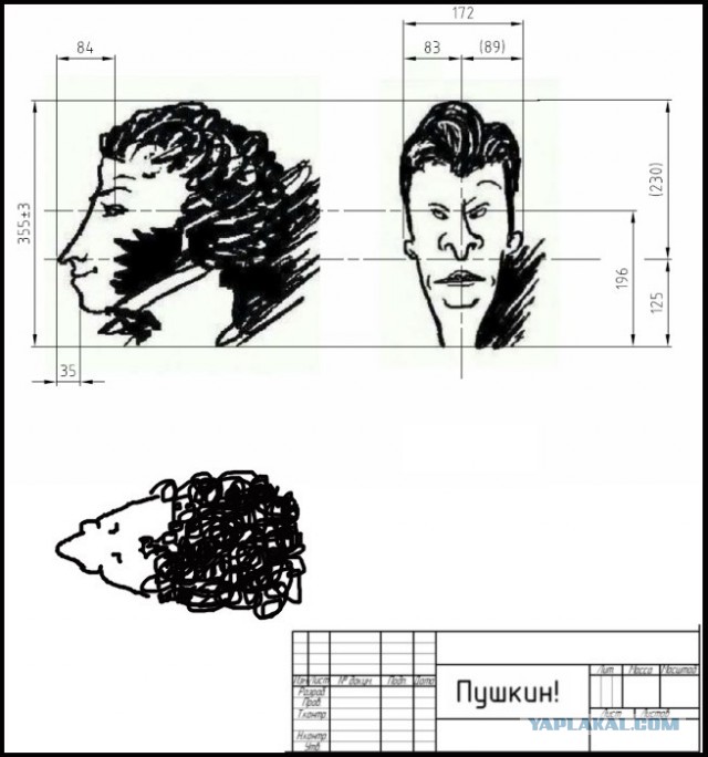 Быдло в автобусе