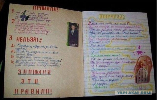 Грамматнасть и нтилехт вконтактовских обитателей