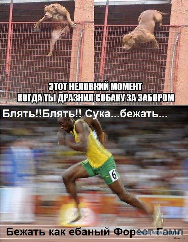 Смешные картинки с подписями 2