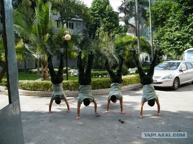 22 способа отжимания в китайской армии