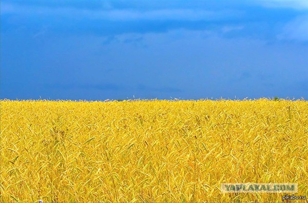 Новосибирск,стыдно...