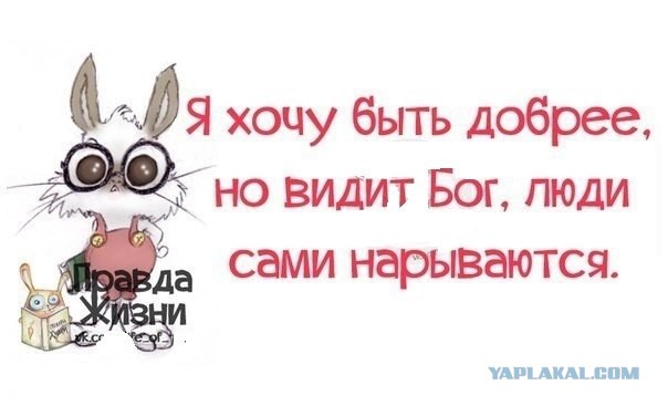 Веселые картинки