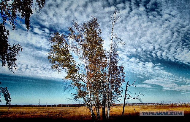 Россия в фотографиях (76 фото)