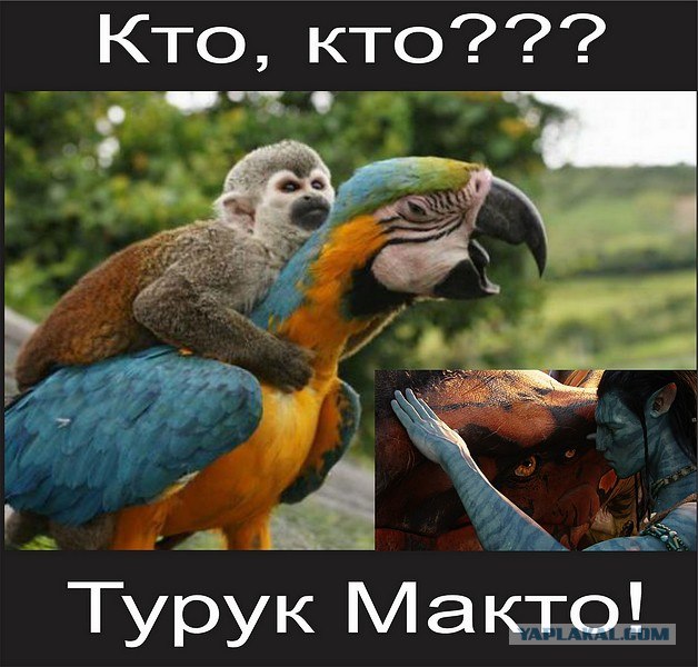 Кто?