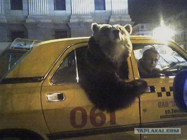 Это Россия, детка