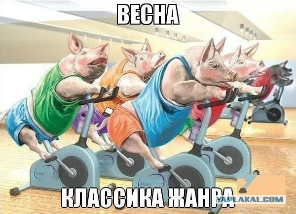 Веселости которые встретились сегодня
