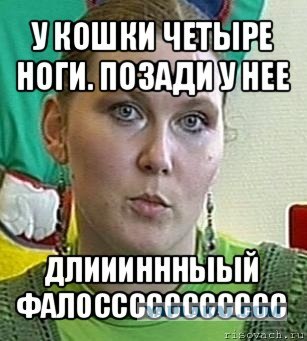 У кошки четыре