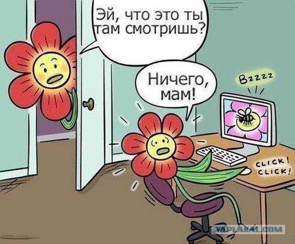 Весёлости в картинках
