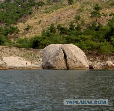 Крым. Мыс Ая. Деревья моря.