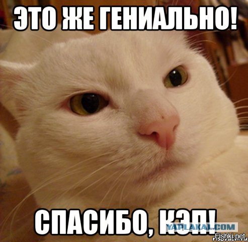 Когда работает фантазия