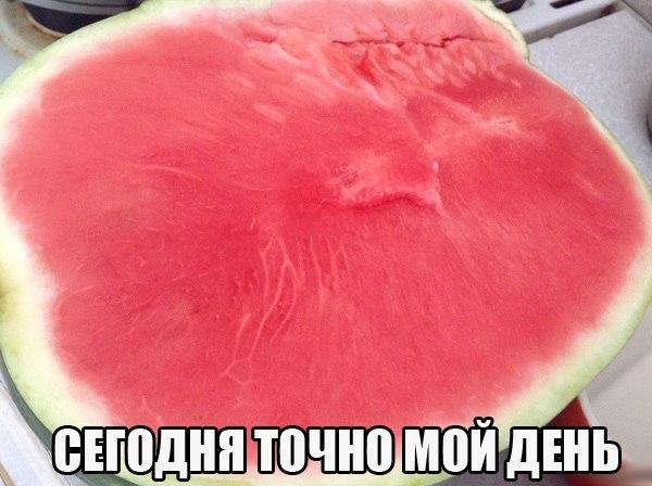 Сборник "баянов" со всего Интернета - 2
