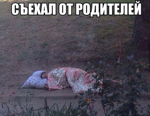 Новая порция из соцсетей