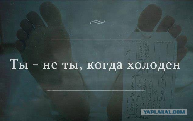 Немного картинок и демотиваторов