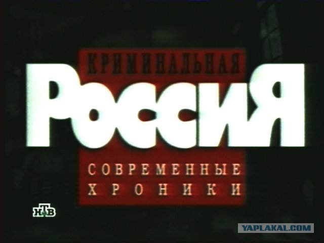 Что мы растим из наших детей ?