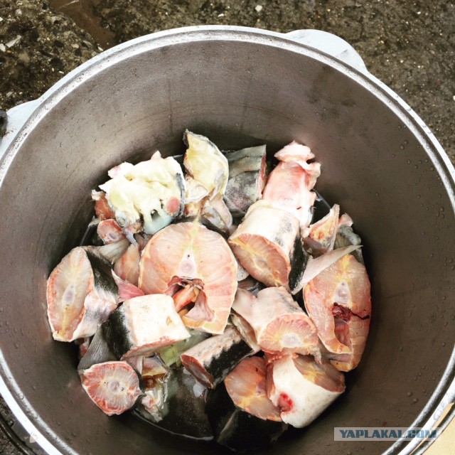 Полевая кухня