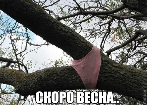 Подборка картинок из Ваших интернетов