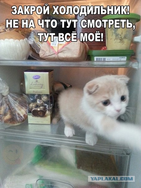 Очередная подборка картинок из сети